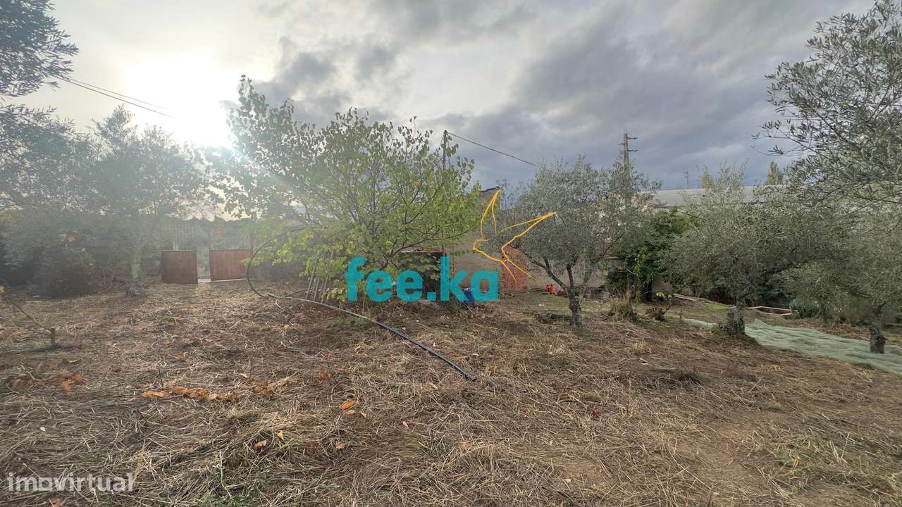Quintinha-28