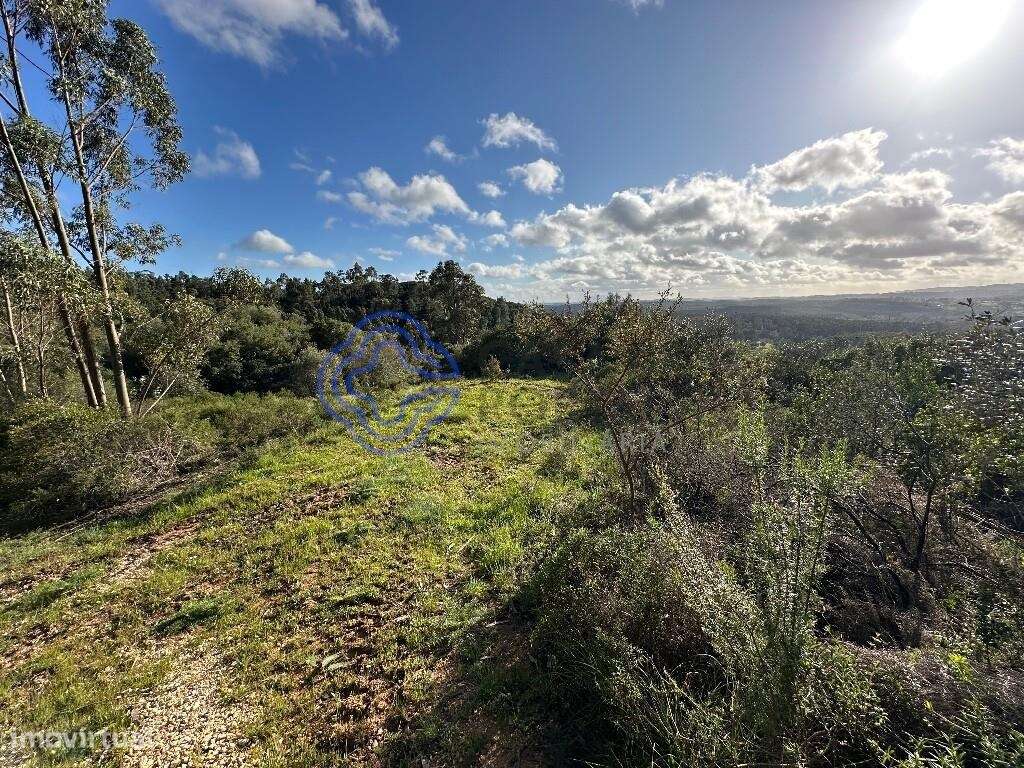 Terreno Rústico Panorâmico - Grande imagem: 3/15