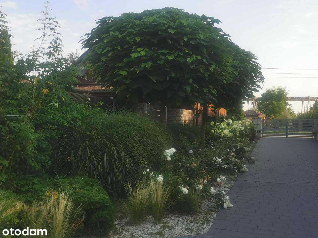 Dom Szydłowiec, 136m2 +60m2 drugi dom na wydzielonej działce w cenie - Pełny obrazek: 5/20