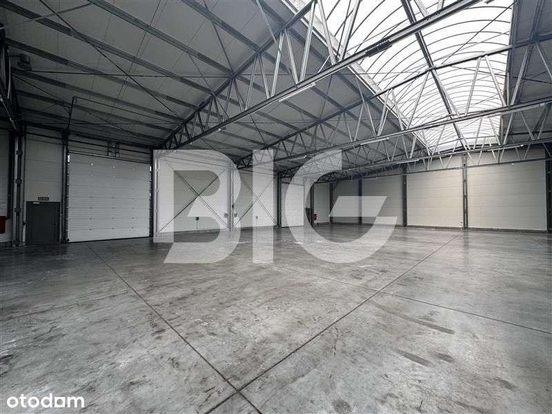 Hala magazynowa, produkcyjna, zaplecze socjalne, b - Pełny obrazek: 4/8