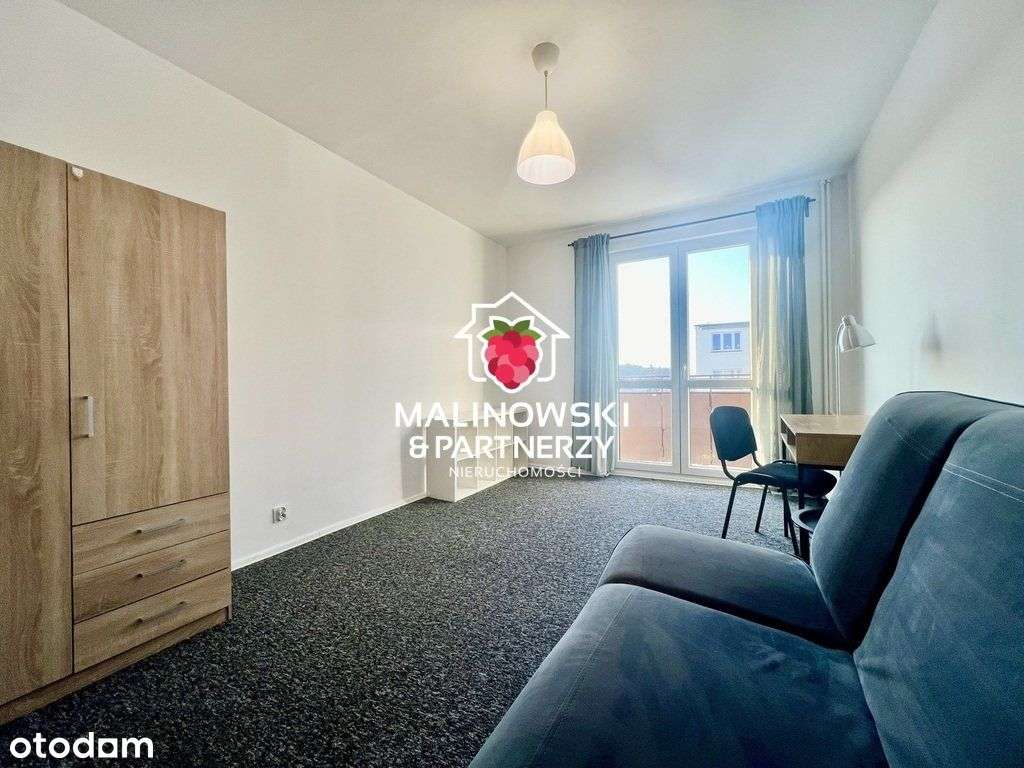 Na wynajem 3 pokoje w cenie 2 (jeden pokój gratis)-19