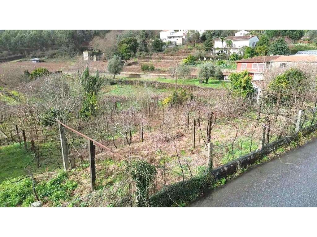 Terreno 6.280 m² para Construção com Possibilidade de Várias Moradi... - Grande imagem: 5/8