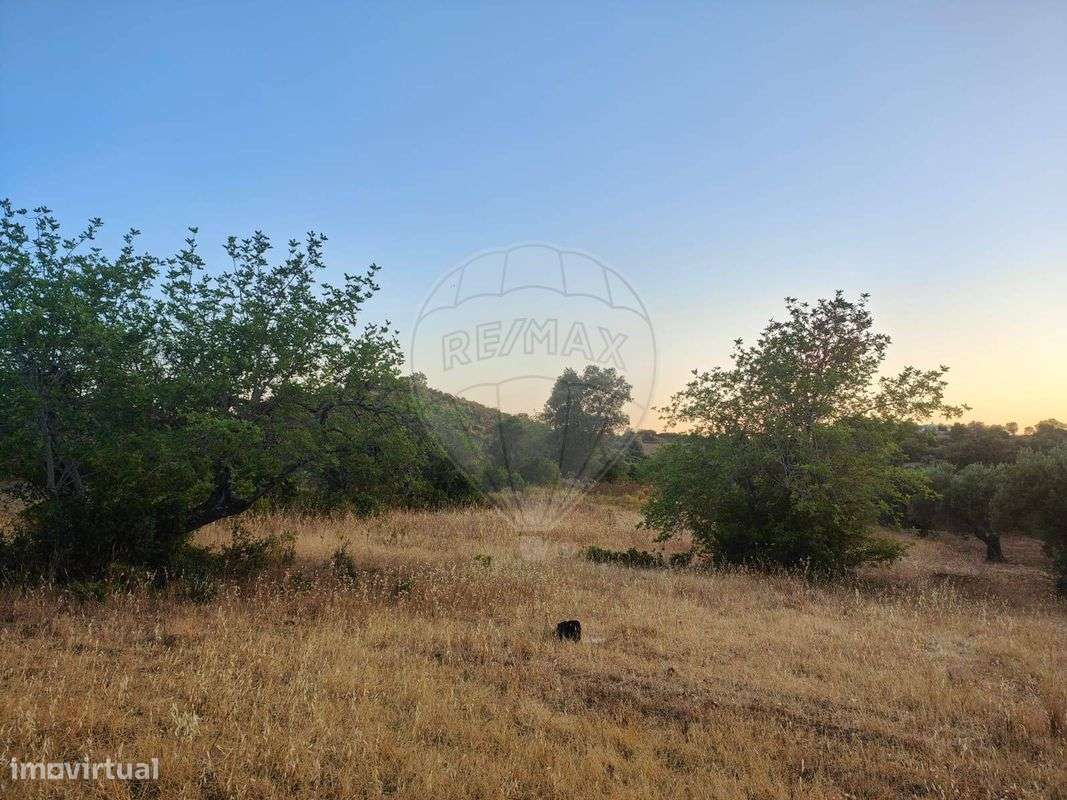 Terreno  para venda - Grande imagem: 5/12