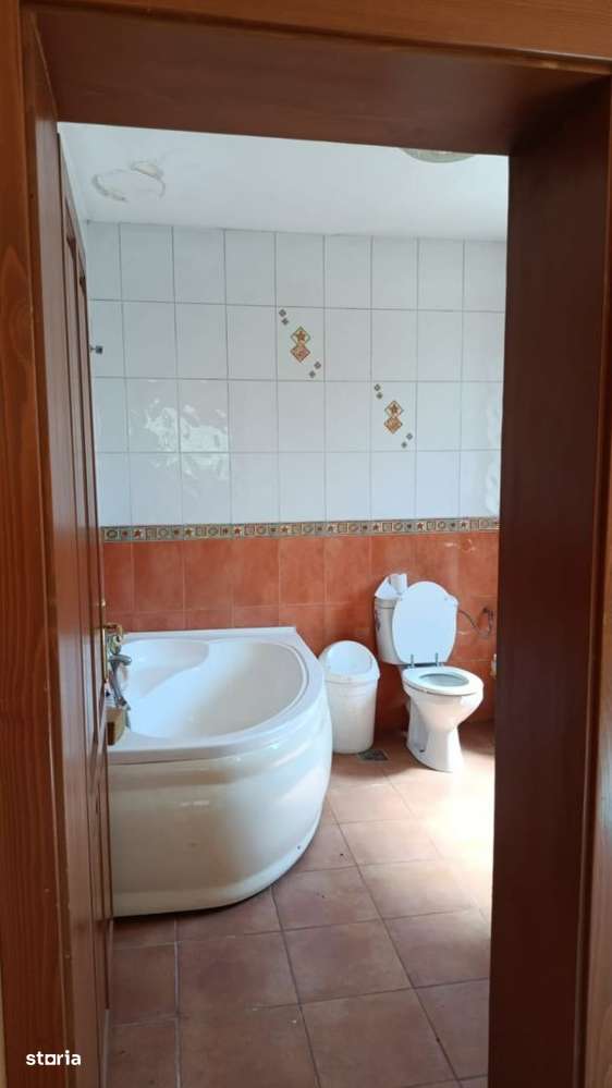 BEIUS, AUREL VLAICU CASA P+M, 200 MP SI TEREN 250 MP.-10