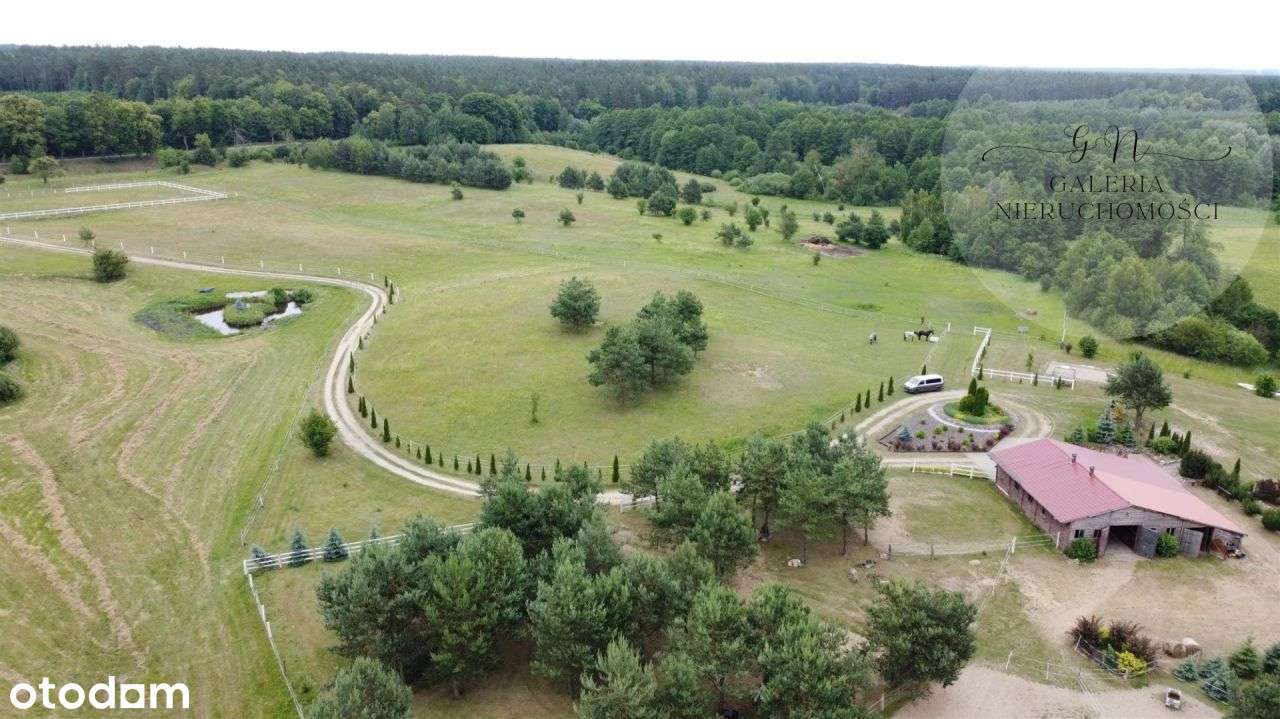 Działka 6ha,Miłomłyn,stajnia,domki letniskowe,dom - Pełny obrazek: 5/14