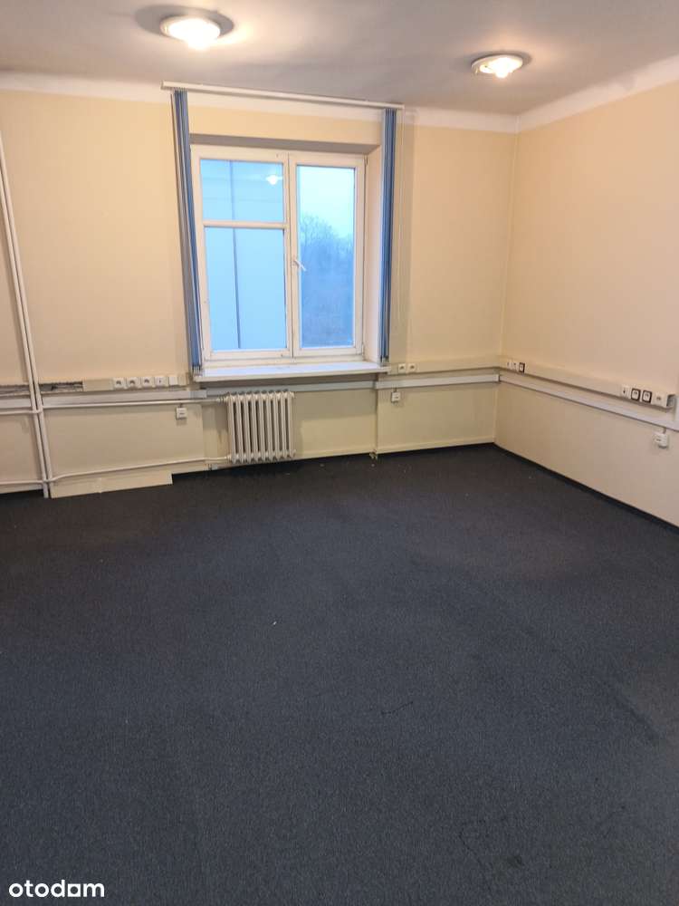 Lokal biurowy do wynajęcia - Pełny obrazek: 3/8