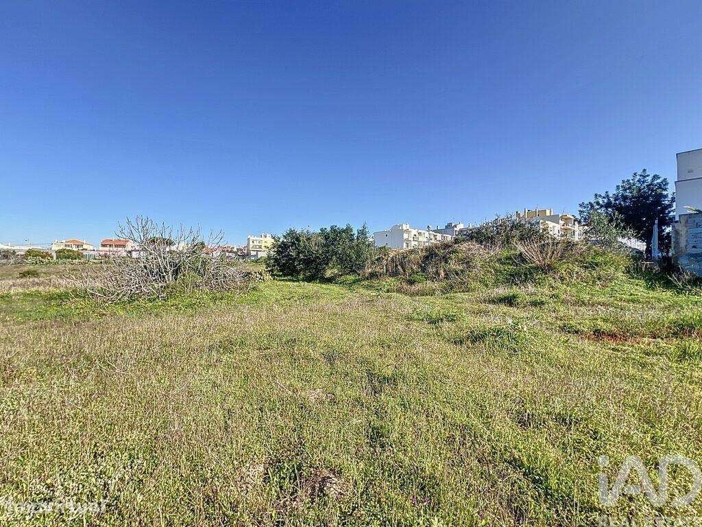 Terreno para construção em Montenegro de 672,00 m2 - Grande imagem: 5/16