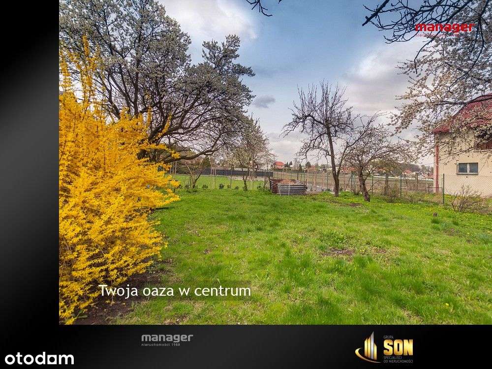 Twoja oaza w centrum - Pełny obrazek: 5/13