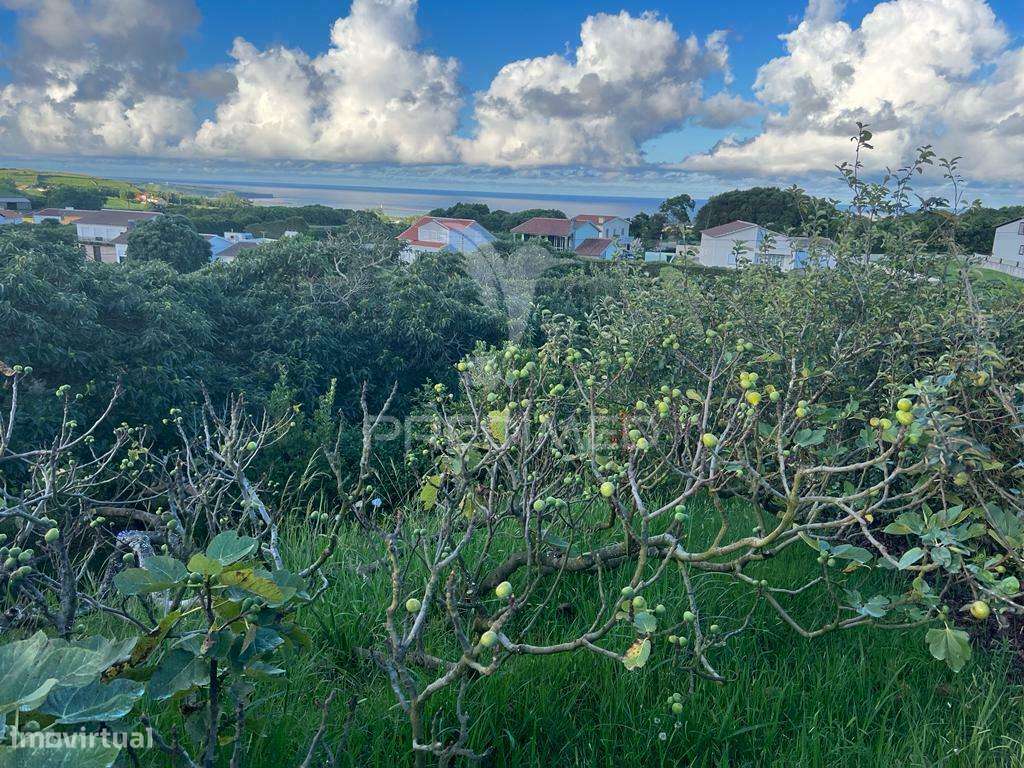 Terreno Rústico - Grande imagem: 5/20