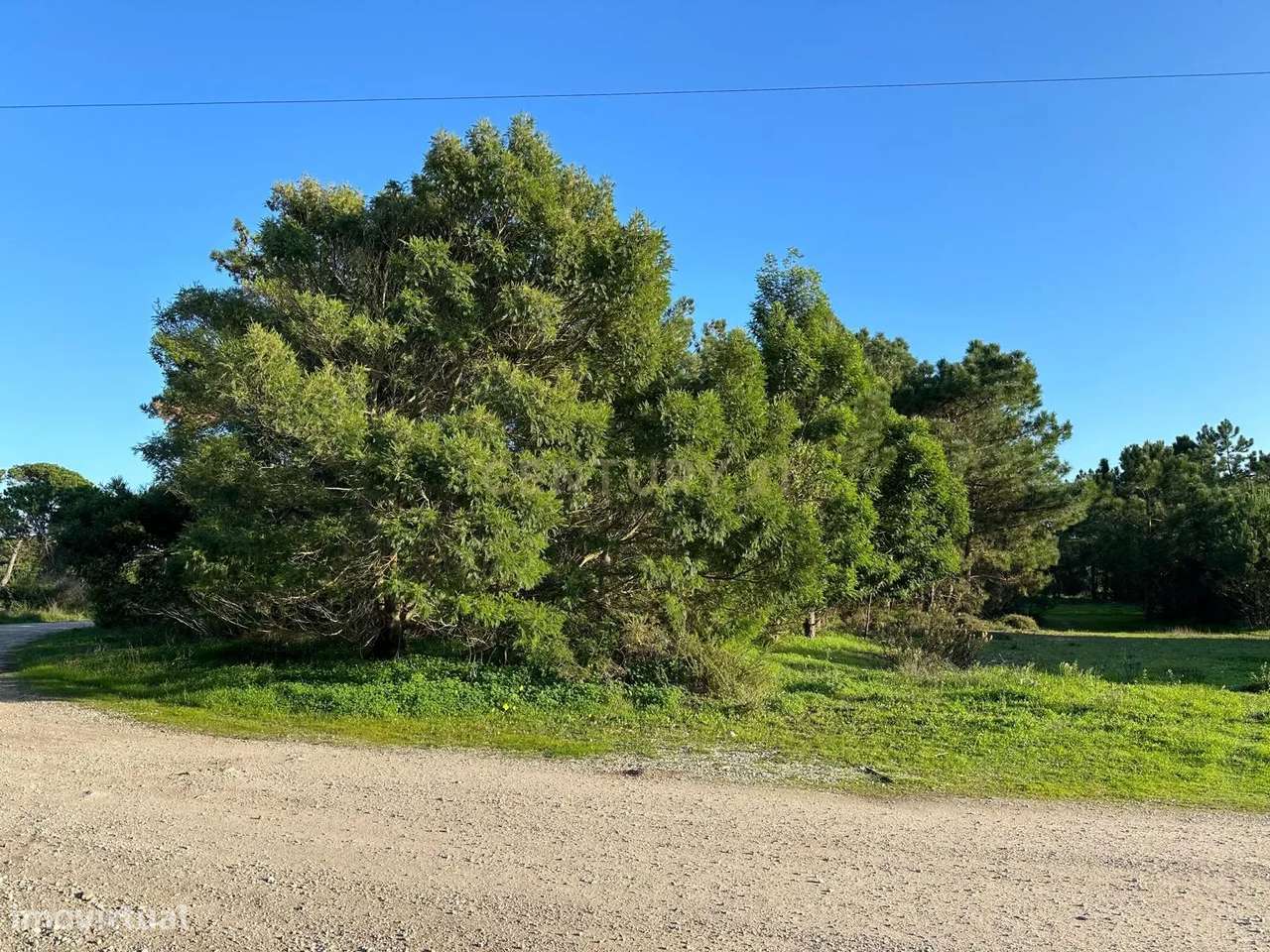 Terreno Rústico de 10.450m² – Aguncheiras, Azóia (Perto da Aldeia do M - Grande imagem: 5/6
