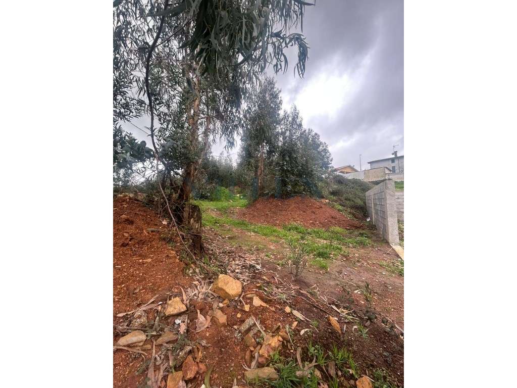 Terreno no Centro da Trofa - Grande imagem: 3/8