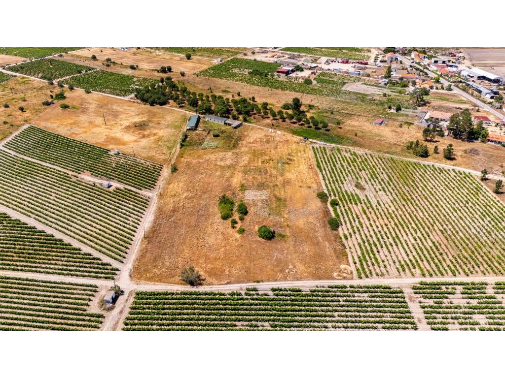 Terreno com 9.260m2 em Palmela com Potencial Construtivo (Zonamento...-6
