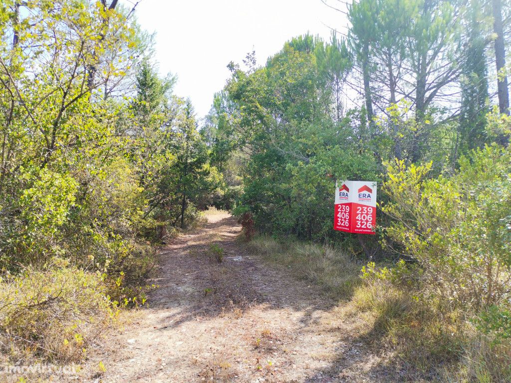 Terreno em zona de Cernache, Coimbra