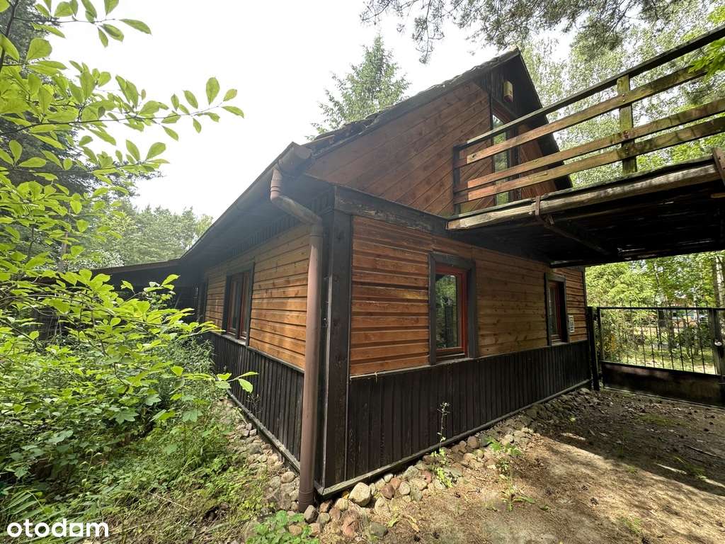 Piękne siedlisko 1645 m2 ze stawem w Błogoszczy - Pełny obrazek: 3/20