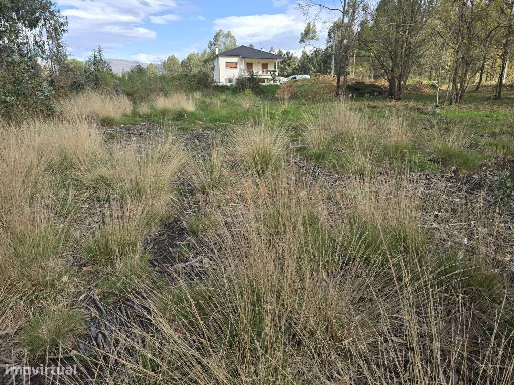 Terreno - Grande imagem: 5/8