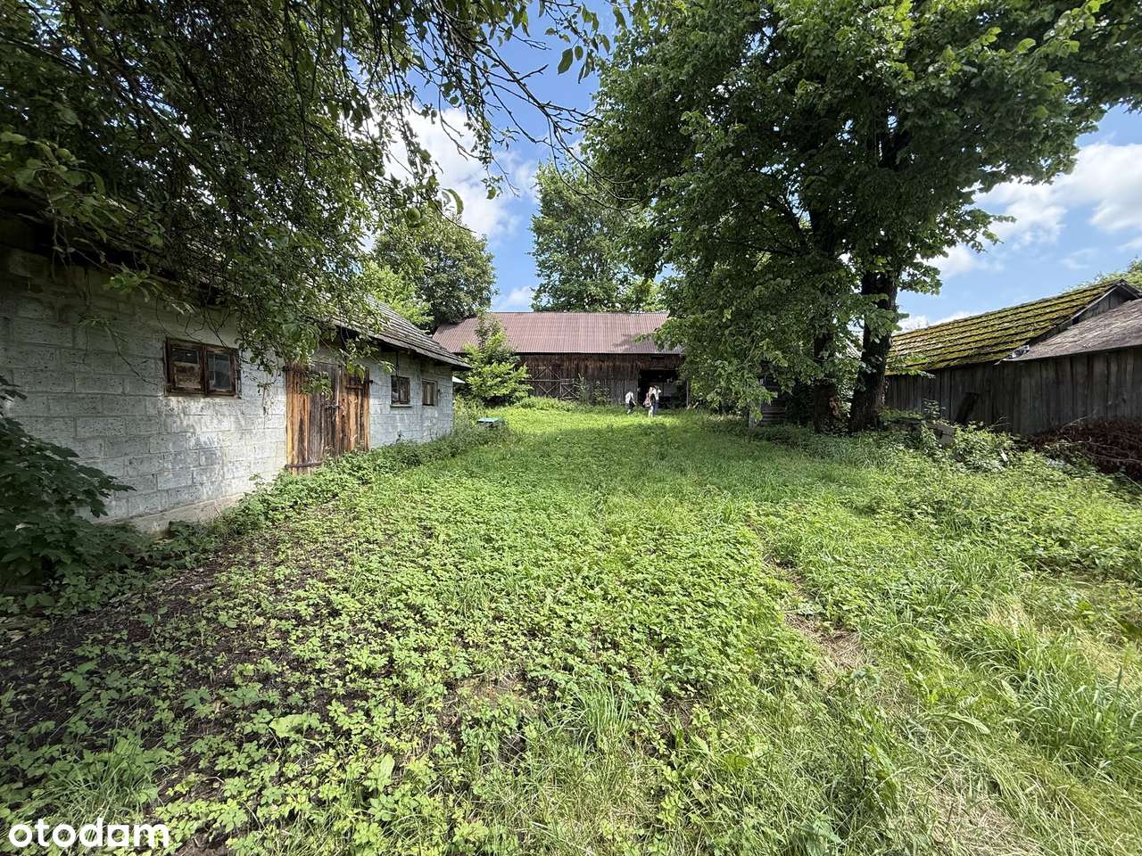 Nieruchomość siedliskowa 70 arów  – okolice Suśca, Roztocze - Pełny obrazek: 5/6