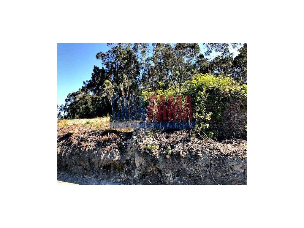 Excelente investimento com rentabilidade! - Grande imagem: 3/5