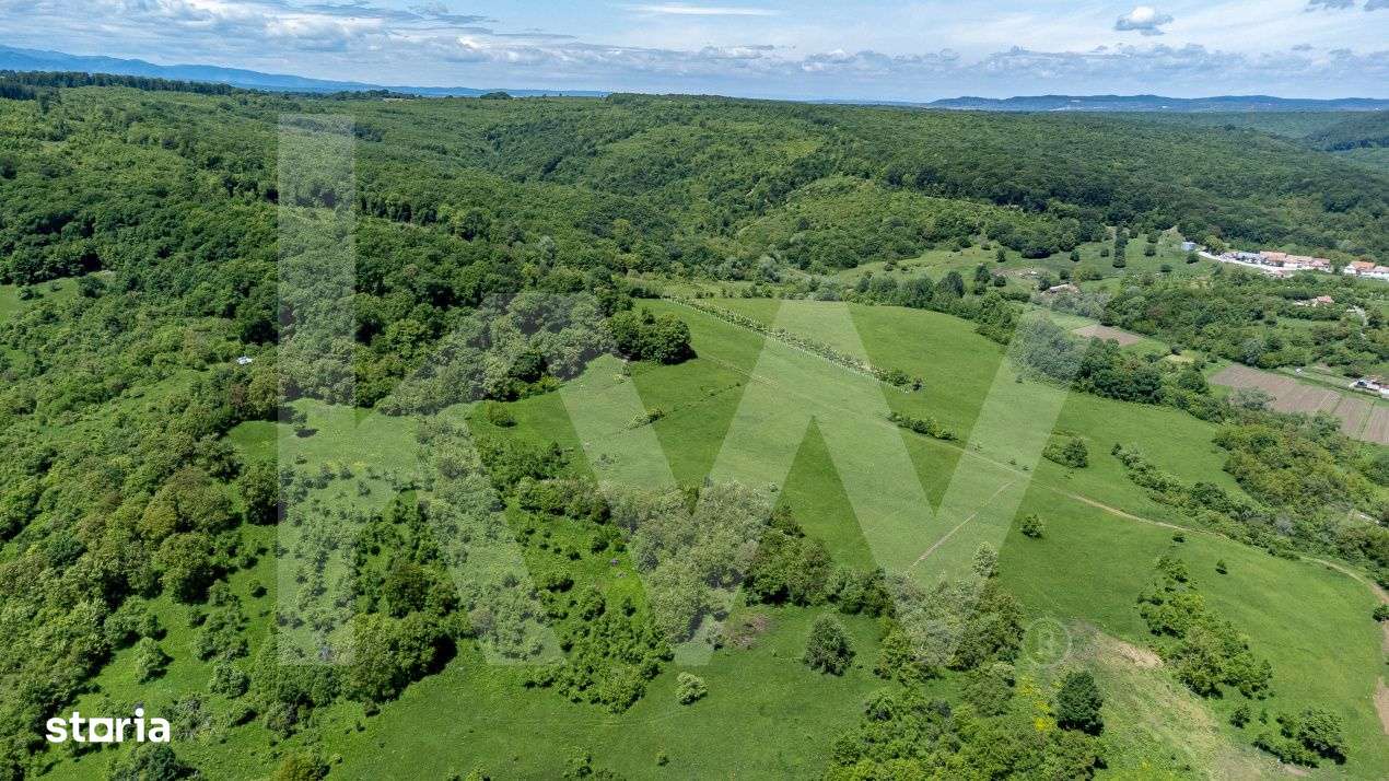 Terenuri de vanzare in Bradu – 500 mp, panorama superba la munti si - Imagine principală: 4/6