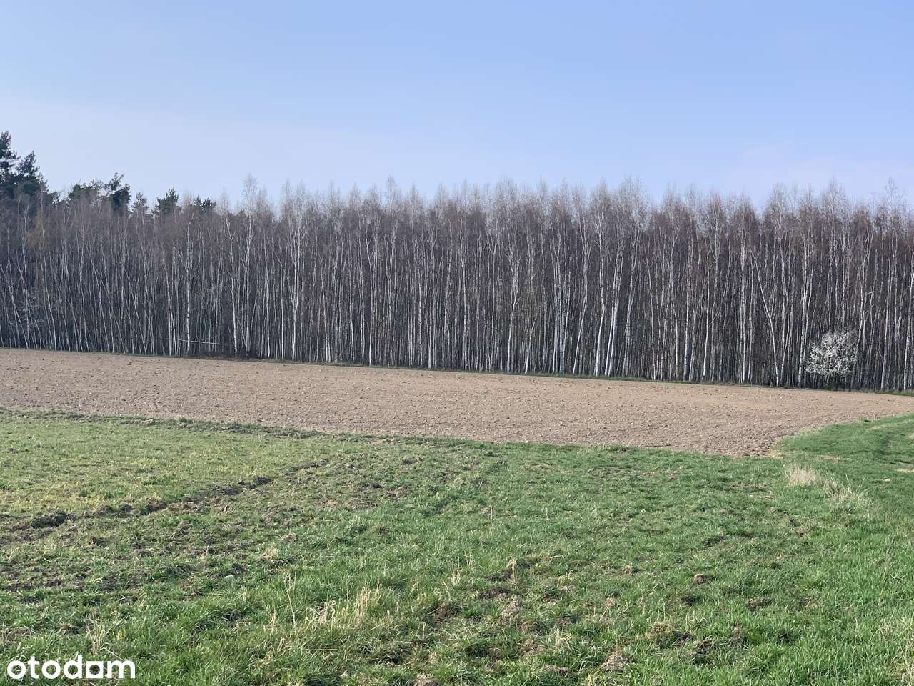 Działki rolne w Pątnowie Legnickim-3