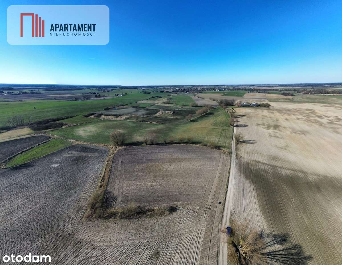 Tylko u nas! Działka pod zabudowę Bory Tucholskie - Pełny obrazek: 4/10
