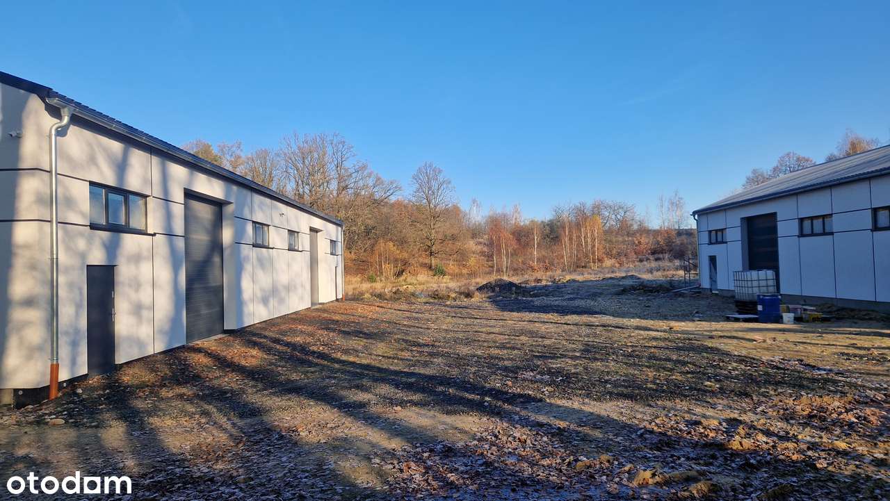 NOWE MAGAZYNY DO WYNAJĘCIA - Pełny obrazek: 4/6