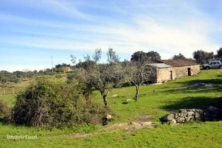 Herdade do Monte da Pedra.