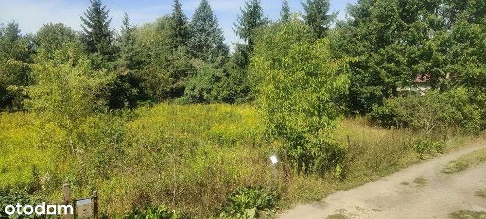 Ciche miejsce,idealna na bliźniak lub wolnostojący-0