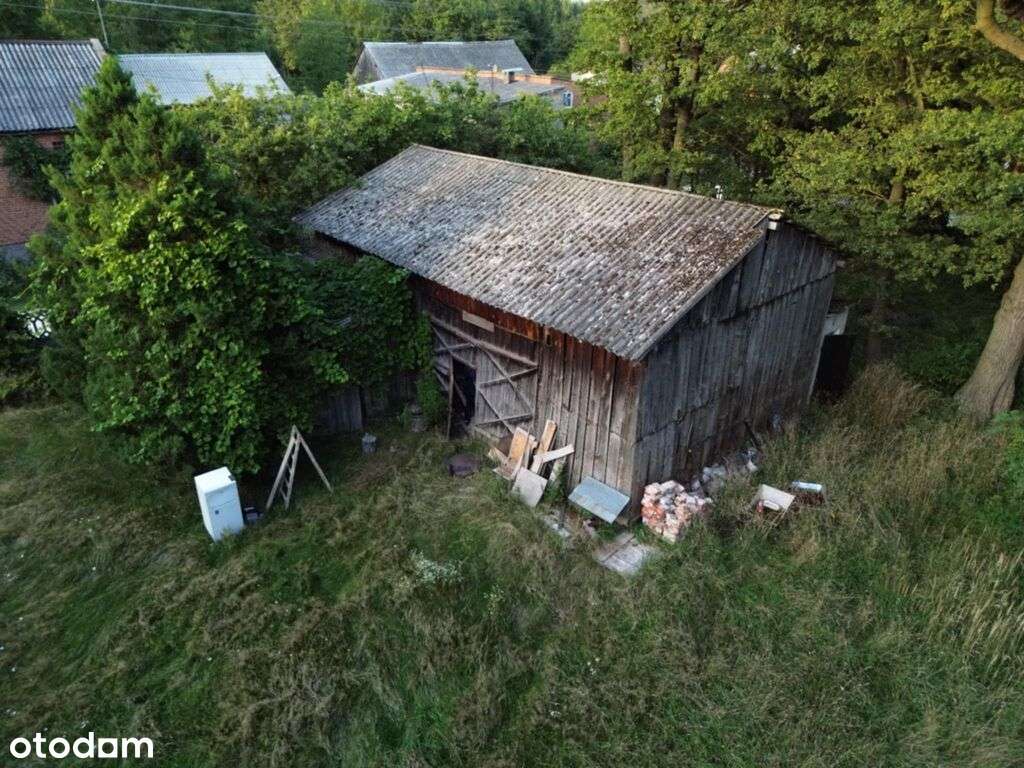Malownicza działka z domkiem i starymi drzewami. - Pełny obrazek: 4/7