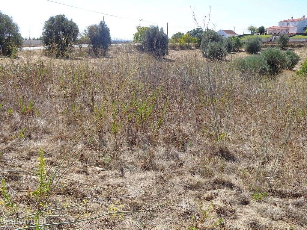 Terreno - T1499/15 - Grande imagem: 4/7