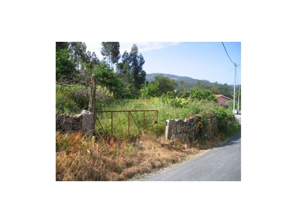 Terreno Venda Vila Nova de Cerveira - Grande imagem: 3/4