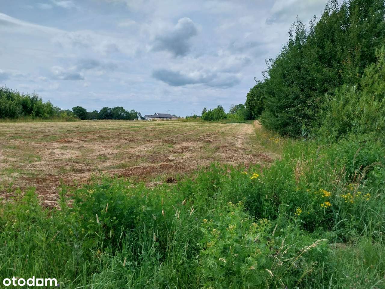 Nad jeziorem,WZ,media,Cieszyn,10km do centrum Koszalina, 28m front - Pełny obrazek: 4/10