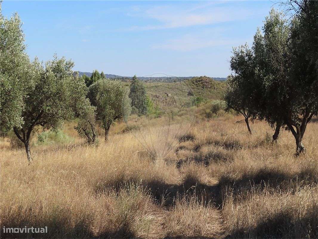 Quinta  para venda-41