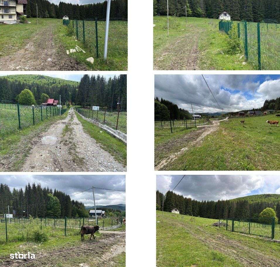 Teren intravilan - 5000 mp, Valea Doftanei - Imagine principală: 3/3