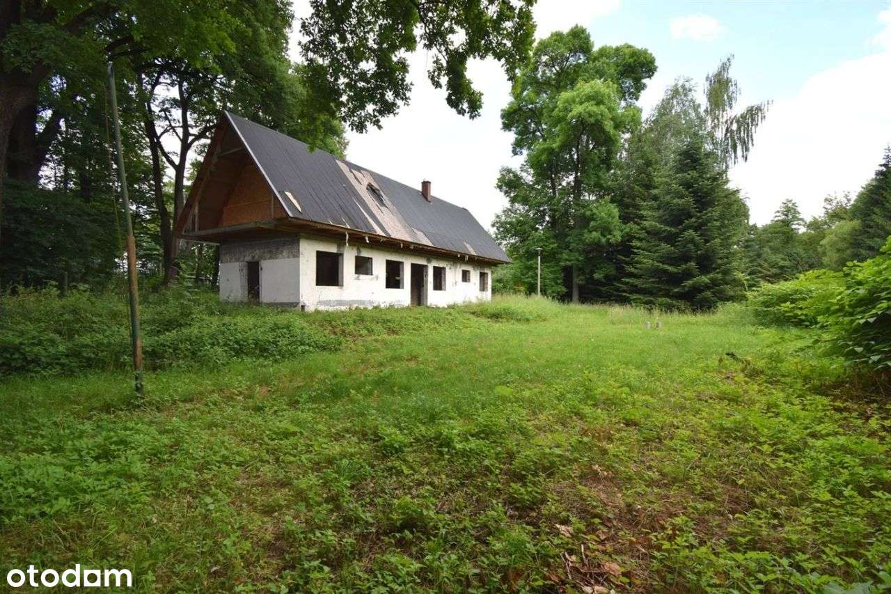 Budynek Rekreacyjny 80m2, Drogomyśl,Działka 4435m2 - Pełny obrazek: 4/20