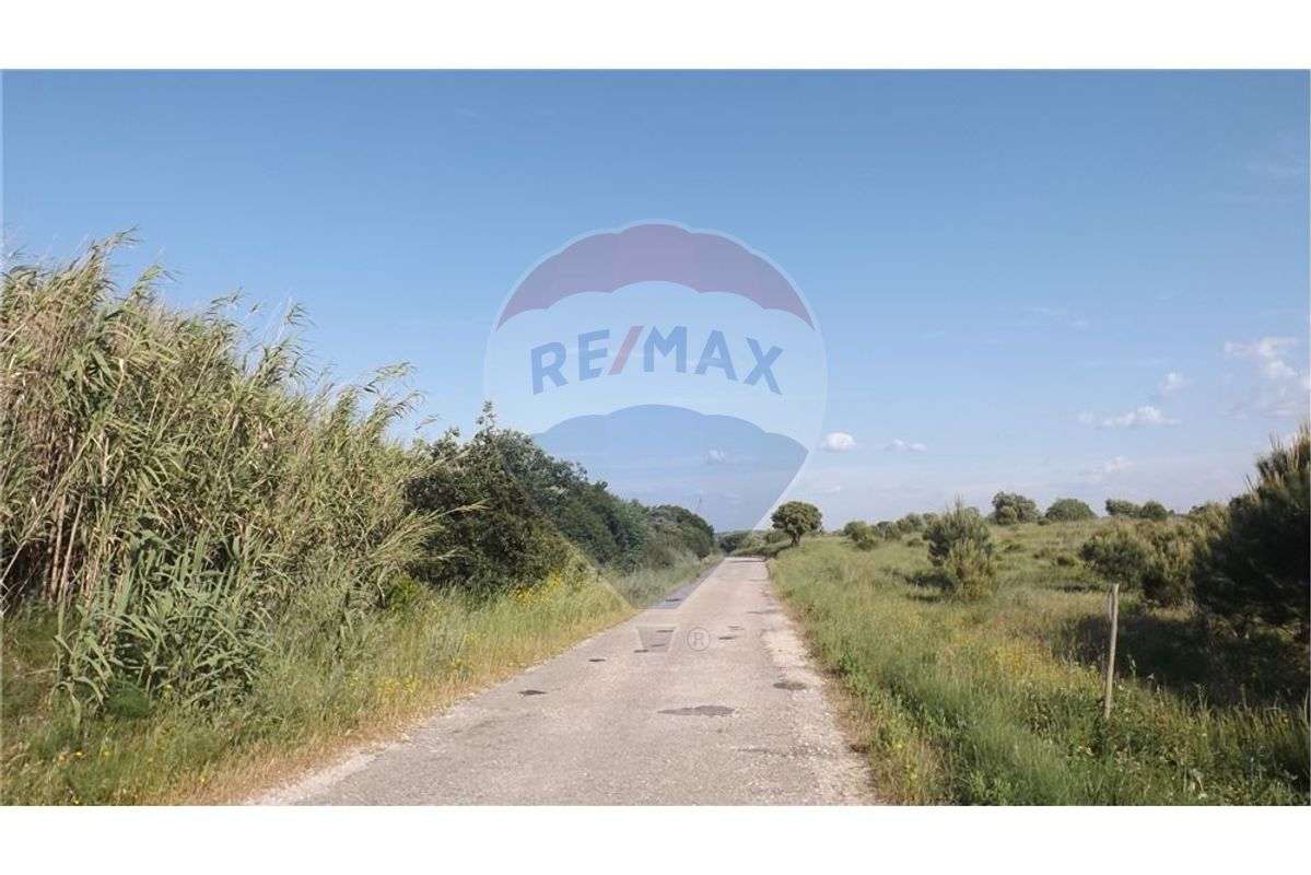 Terreno T0 para venda - Grande imagem: 3/4