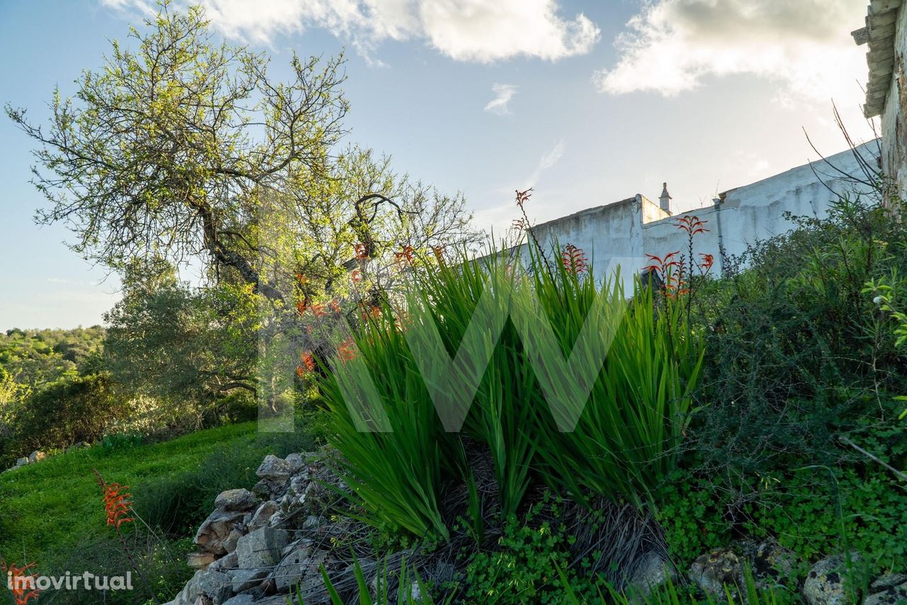 Ruína com Terreno e vistas Deslumbrantes | Santo Estevão | Tavira