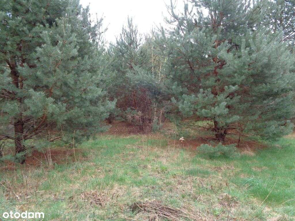 Działka budowlana w pobliżu Kampinoskiego P.N. - View 2