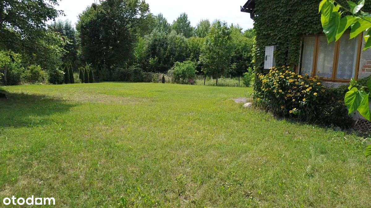 Siedlisko z domem i 2 200 m² działki nad Wisłą-9