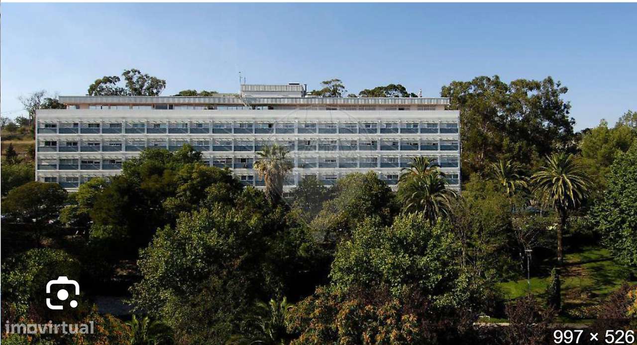 Loja  para arrendamento - Grande imagem: 2/16