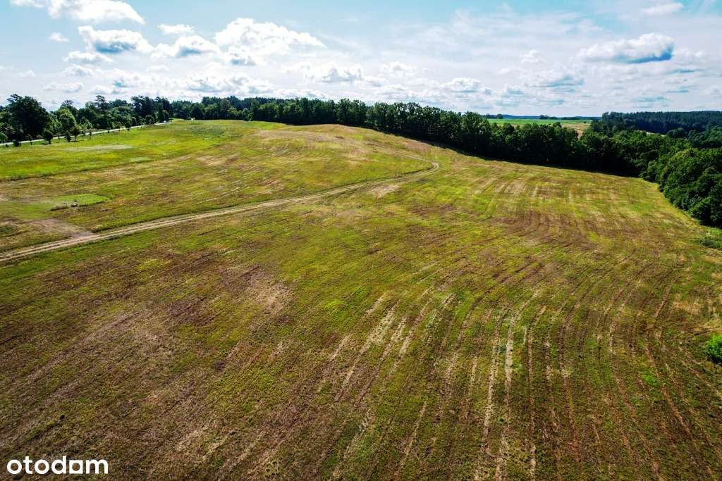 Piękny widok na jezioro Wierzbowskie i dostęp do wspólnego pomostu!-13