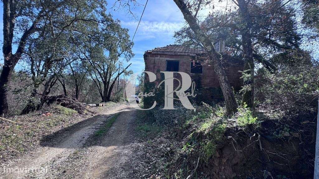 Ruína para reabilitar com terreno - Grande imagem: 2/6