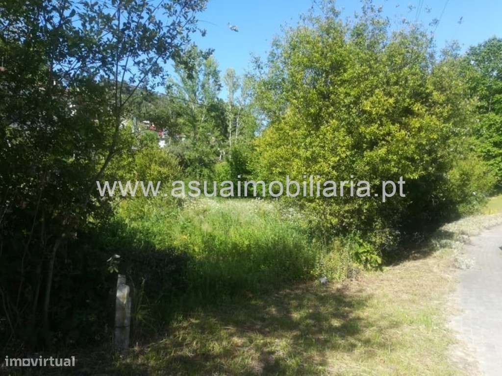 Terreno - Caldelas - Grande imagem: 2/3