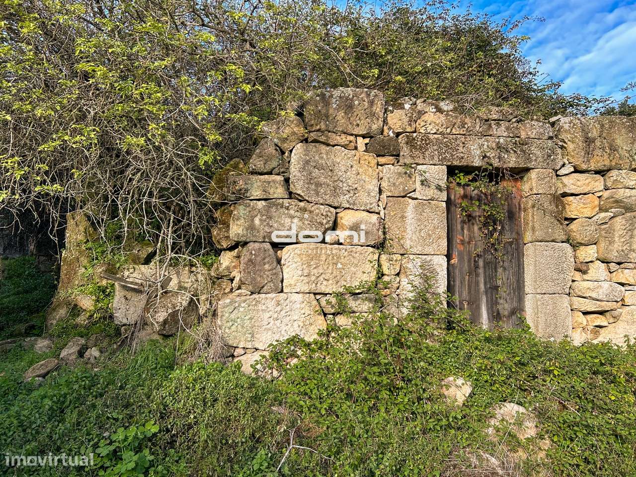 Quinta com 33.250 m² em Tabuadelo – São Pedro do Sul-9