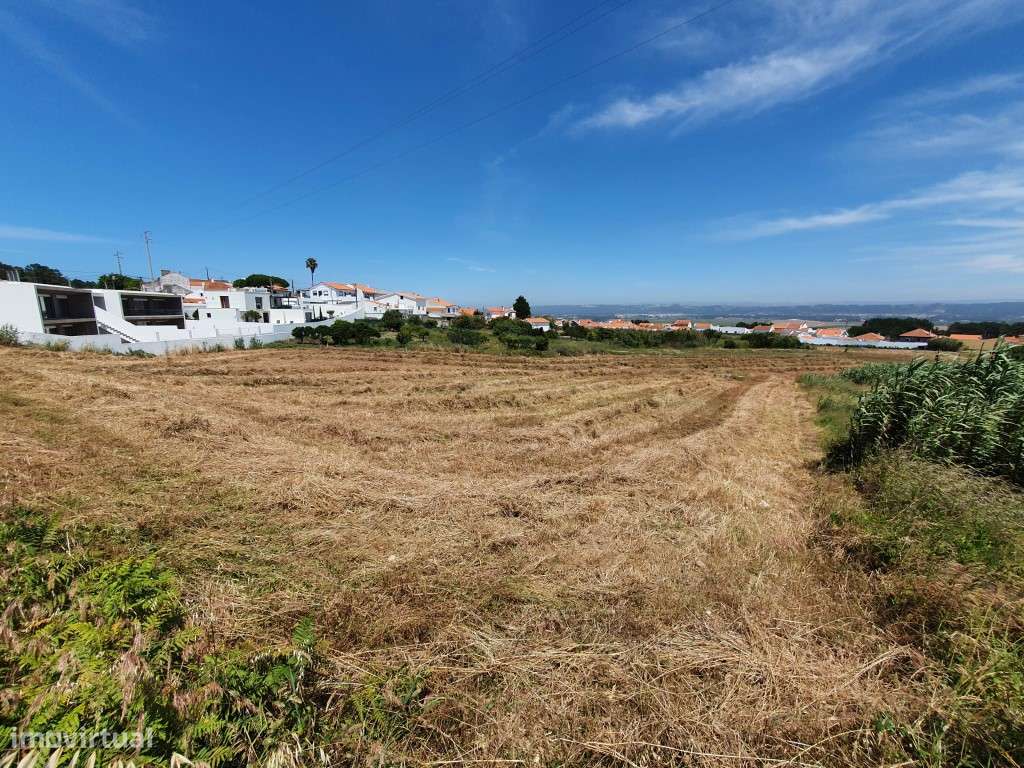 Terreno em Salir do Porto para construção - Grande imagem: 3/8