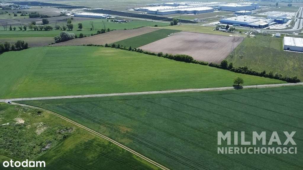 Na sprzedaż działka inwestycyjna 6,57 ha – okolice - Pełny obrazek: 5/13