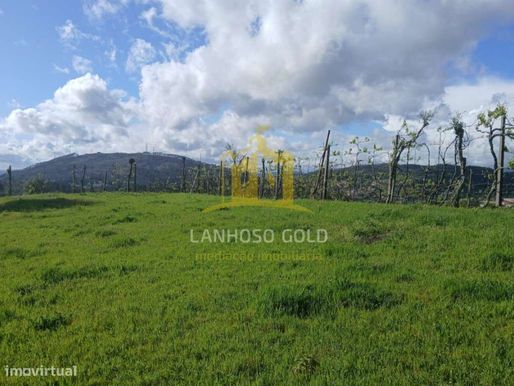 Terreno Agrícola com Tanque de Água - 2.240m² em Calvos, Póvoa de L... - Grande imagem: 5/14