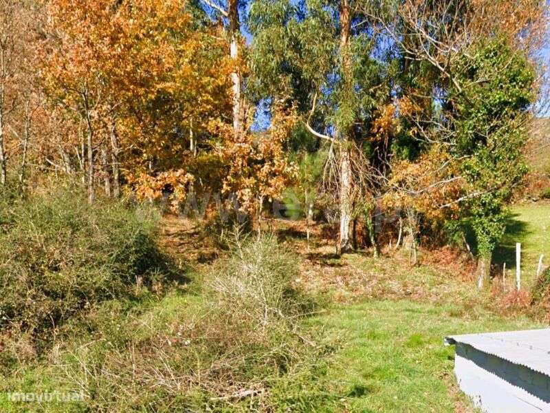 Terreno / Baião, Teixeira e Teixeiró - Grande imagem: 3/17