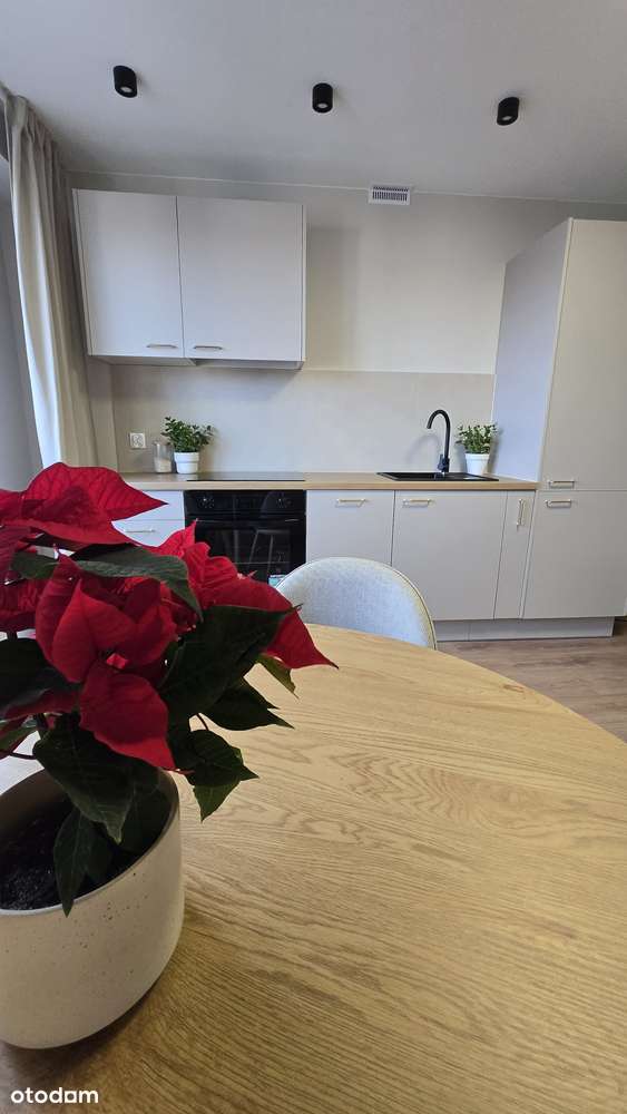 Przytulne,jasne mieszkanie z windą po generalnym remoncie! - Pełny obrazek: 5/8