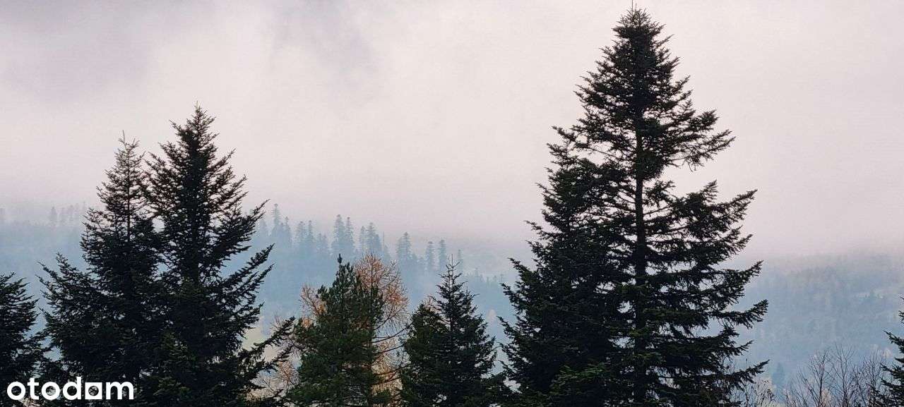 Miejsce o unikalnych walorach widokowych-730 mnpm - Pełny obrazek: 5/11