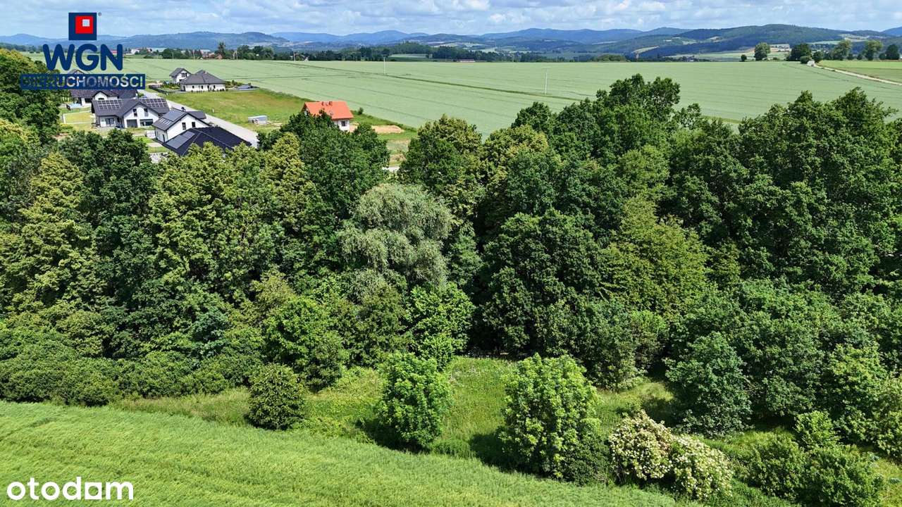 Polanica-Zdrój okolice, działka budowlana na sprzedaż. - Pełny obrazek: 2/15